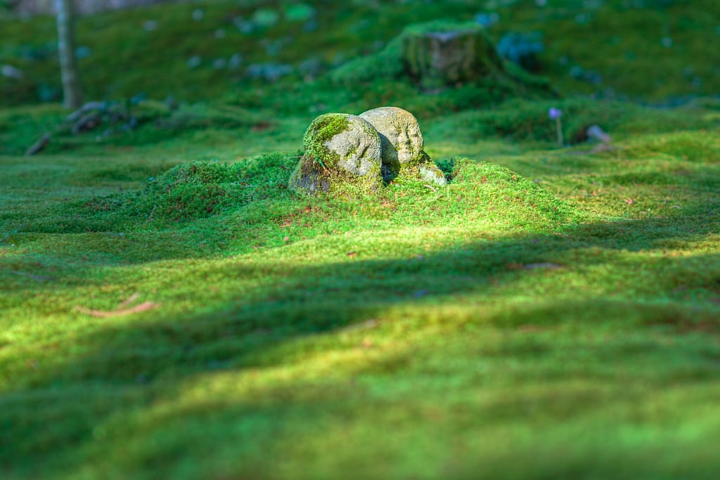 7 Japanese Principles to Reduce Stress and Clear Your Mind
