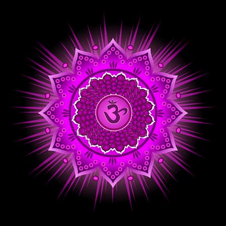 5 Things to Know About The Crown Chakra. the crown chakra symbol