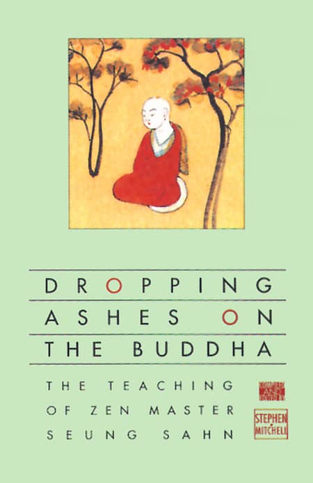 Dropping Ashes on The Buddha: The Teaching of Zen Master Seung Sahn [Summary & Note Highlights]