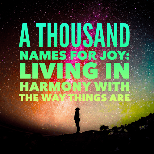 A thousand names for joy