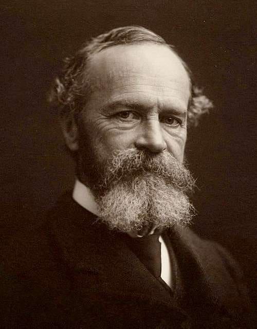 What is visualization training. What is visualization training as described by William James?